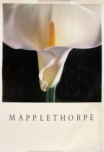 MAPPLETHORPEのサムネール