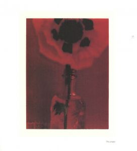 「FROM ONE SEASON TO ANOTHER / サラ・ムーン」画像8