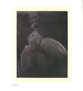 「FROM ONE SEASON TO ANOTHER / サラ・ムーン」画像9