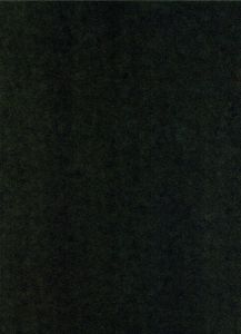 「SHINJUKU GUNTODEN 新宿群盗伝 1965-1973 / 渡辺克己」画像1