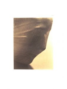 「Josef Sudek 1896-1976　Sixty Pigment Prints from the Artist's Estate / Photo: Josef Sudek」画像6