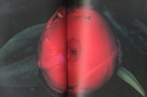 「荒木経惟　花人生 / 写真：荒木経惟　企画・監修：梶川芳友」画像2