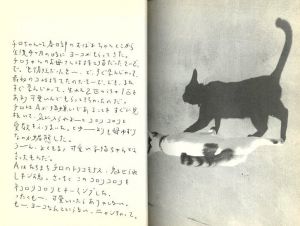 「愛しのチロ / 荒木経惟」画像7