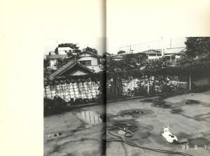 「愛しのチロ / 荒木経惟」画像17