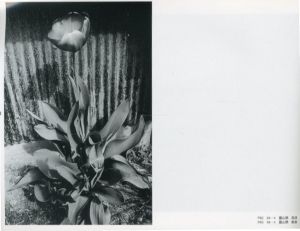 「遠い町・DISTANCE / 尾仲浩二」画像3