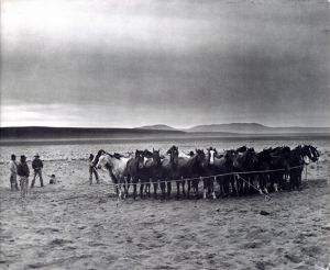 After Barbed Wire: Cowboys of Our Time／写真：カート・マーカス／(After Barbed Wire: Cowboys of Our Time / Photo: Kurt Markus)のサムネール