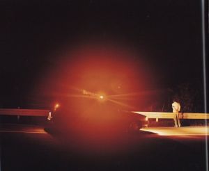 「この星　野口里佳 / 著：野口里佳　デザイン：中島英樹」画像1