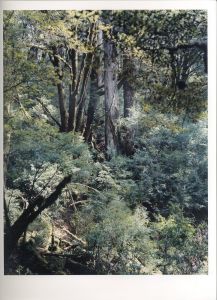 「Materia Yoshihiko Ueda / 著：上田義彦　グラフィックデザイン：中島英樹」画像5