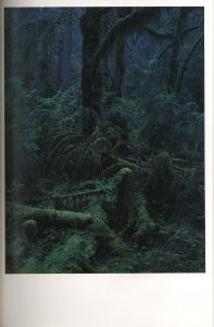 「QUINAULT / 著：上田義彦　編：都築響一　デザイン：葛西薫」画像6
