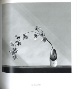 「ROBERT MAPPLETHORPE TEN BY TEN / Author: Robert Mapplethorpe」画像3