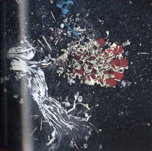 「VISIONS of JAPAN TOMATSU Shomei / 著：東松照明　監修：伊藤俊治」画像1