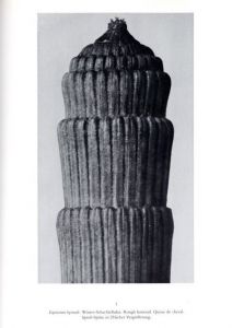 「KARL BLOSSFELDT　URFORMEN DER KUNST WUNDERGARTEN DER NATUR / Photo: Karl Blossfeldt　Text: Gert Mattenklott」画像1