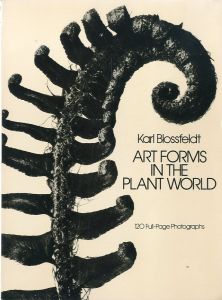 ART FORMS IN THE PLANT WORLD／写真：カール・ブロスフェルト／(ART FORMS IN THE PLANT WORLD / Photo: Karl Blossfeldt)のサムネール