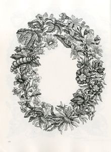 「FLOWERS, BUTTERFLIES, AND INSECTS All 154 Engravings from "Erucarum Ortus" / Maria Sibylla Merian」画像3