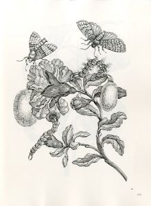 「FLOWERS, BUTTERFLIES, AND INSECTS All 154 Engravings from "Erucarum Ortus" / Maria Sibylla Merian」画像5