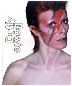 Duffy Bowie／著：ケヴィン・カン、クリス・ダッフィー／(Duffy Bowie / Author:Kevin Cann,Chris Duffy)のサムネール
