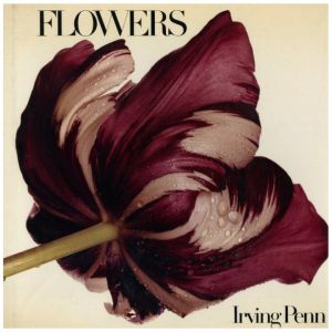 FLOWERS IRVING PENN／アーヴィング・ペン／(FLOWERS IRVING PENN / Irving Penn)のサムネール