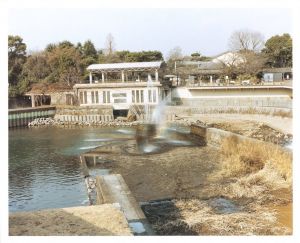 「浮浪 / 佐内正史写真：」画像2
