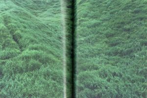 「あめつち / 川内倫子」画像4