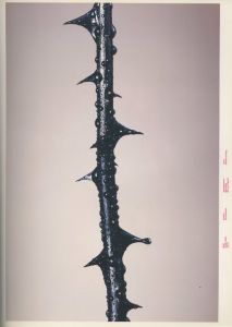 「アイデア No.282 2000/9　特集：BLUE SOURCE / 編：吉田洋介、小関学、室賀清徳」画像1