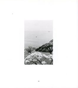 「A Portrait in Landscapes / Robert Adams」画像6