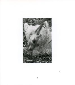「A Portrait in Landscapes / Robert Adams」画像9