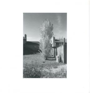 「GONE? / Photo, Foreword: Robert Adams　Afterword: Heinz Liesbrock」画像1