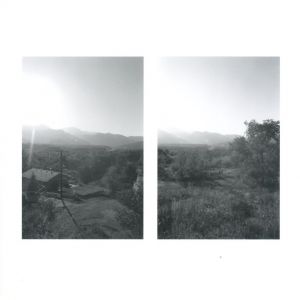 「GONE? / Photo, Foreword: Robert Adams　Afterword: Heinz Liesbrock」画像3