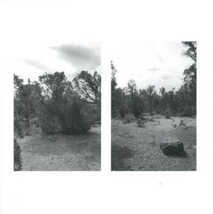 「GONE? / Photo, Foreword: Robert Adams　Afterword: Heinz Liesbrock」画像5