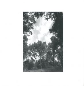「GONE? / Photo, Foreword: Robert Adams　Afterword: Heinz Liesbrock」画像6