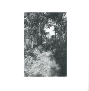 「GONE? / Photo, Foreword: Robert Adams　Afterword: Heinz Liesbrock」画像7