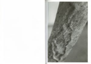 「1906 to the skin / 石内都」画像2