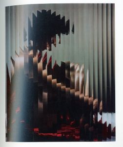「アーウィン・ブルーメンフェルド　美の秘密 / 編：東京都写真美術館」画像3