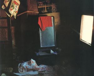 「家 / 写真：篠山紀信　文：多木浩二　編集・構成：鶴本正三」画像12