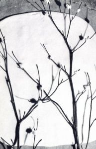 「雪国 / 著：濱谷浩」画像5