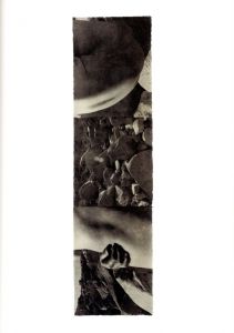 「DESERT / Photo: Jungjin Lee　Text: Robert Frank 」画像11