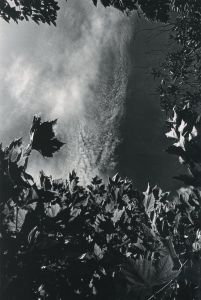 「ラスト・コスモロジー / 川田喜久治」画像6