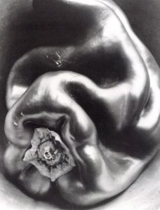 「EDWARD WESTON 1886 - 1958 / Photo: EDWARD WESTON　Edit: Manfred Heiting　Author: Terrence Pitts」画像4