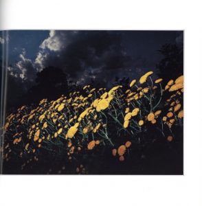 「花狩 / 写真：山村雅昭　執筆：奈良原一高、森永純　他」画像3