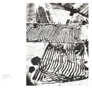 「MARIO GIACOMELLI　黒と白の往還の果てに / 著：マリオ・ジャコメッリ　イタリア語翻訳：岡本太郎」画像3