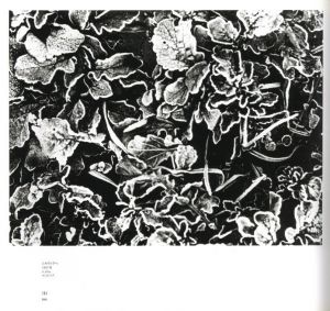「MARIO GIACOMELLI　黒と白の往還の果てに / 著：マリオ・ジャコメッリ　イタリア語翻訳：岡本太郎」画像8