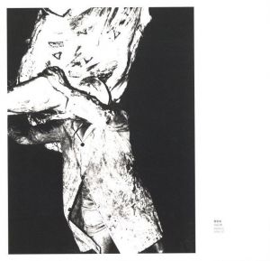 「MARIO GIACOMELLI　黒と白の往還の果てに / 著：マリオ・ジャコメッリ　イタリア語翻訳：岡本太郎」画像10