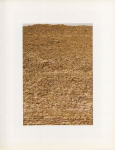「ANDREAS GURSKY / Photo: Andreas Gursky　Edit: Thomas Weski」画像1