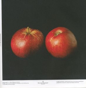 「ALMA / Philip Gaißer, Niklas Hausser」画像2