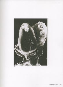 「内藤正敏 異界出現 / 内藤正敏」画像2