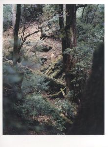 「Materia Yoshihiko Ueda / 著：上田義彦　グラフィックデザイン：中島英樹」画像7