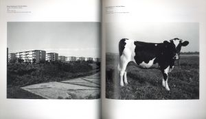 「TOKYO PHOTO 2011 Charity / 写真：クリス・ショー、畠山直哉、石内都、田原桂一、篠山紀信、川内倫子他」画像2
