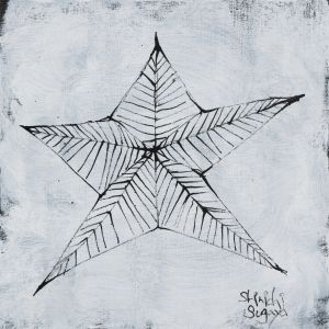 STAR／菅谷晋一／(STAR / Shinichi Sugaya)のサムネール