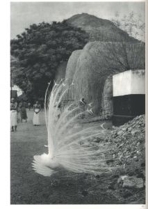 「THE DECISIVE MOMENT (Reproduction) / Henri Cartier-Bresson　」画像11