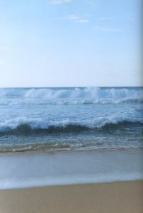 「NEW WAVES / 著：ホンマタカシ」画像3